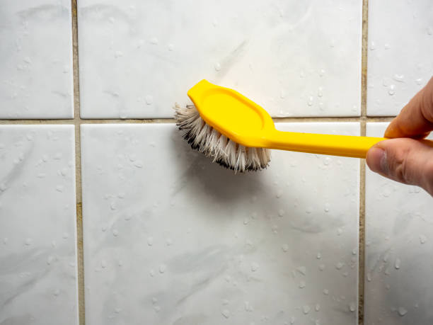 Reliable St Lawrence, PA Mold Removal Solutions