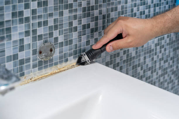Best Certified Mold Removal  in St Lawrence, PA