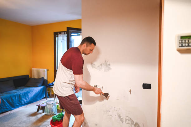 Best Affordable Mold Removal  in St Lawrence, PA